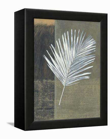 Kentia-Steve Peterson-Framed Stretched Canvas