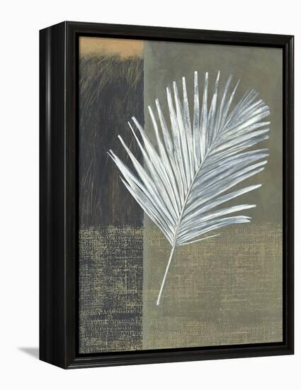 Kentia-Steve Peterson-Framed Stretched Canvas