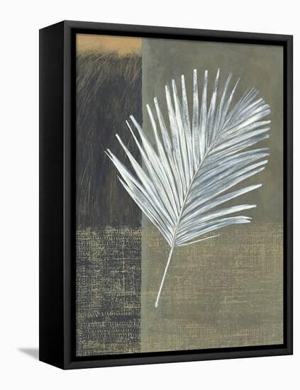 Kentia-Steve Peterson-Framed Stretched Canvas