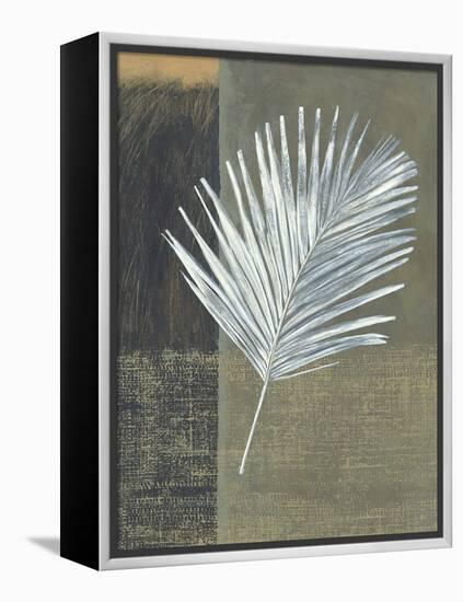 Kentia-Steve Peterson-Framed Stretched Canvas