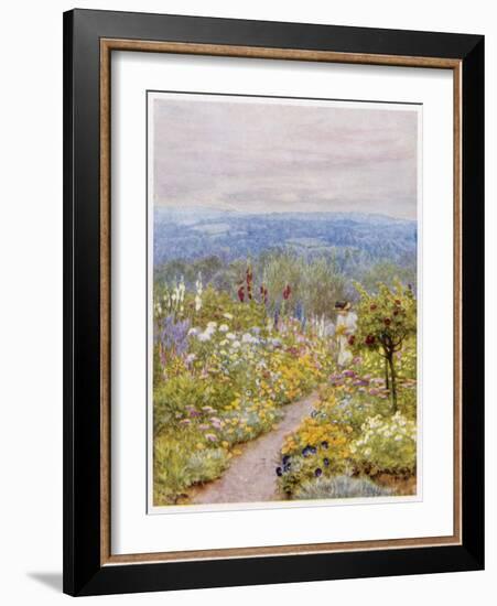 Kentish Garden, a Woman Picks Flowers from Large Herbaceous Borders in a Typical English Garden-null-Framed Art Print