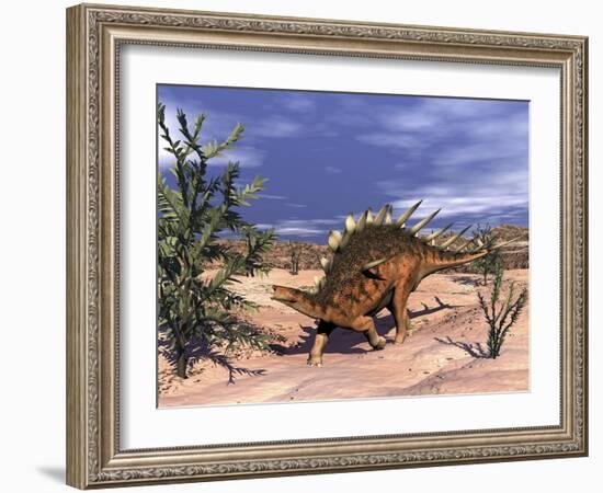 Kentrosaurus Dinosaur Grazing on a Dicroidium Plant-Stocktrek Images-Framed Art Print