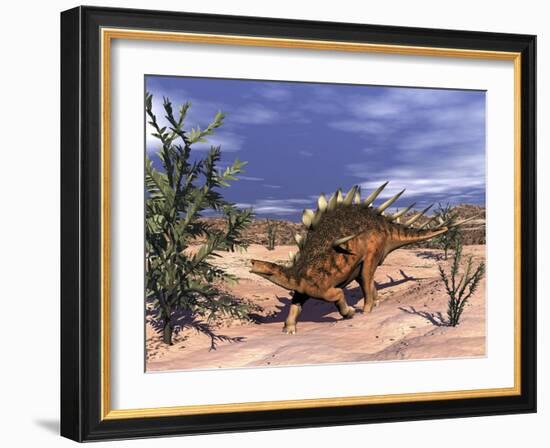 Kentrosaurus Dinosaur Grazing on a Dicroidium Plant-Stocktrek Images-Framed Art Print