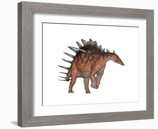 Kentrosaurus Dinosaur, White Background-null-Framed Art Print