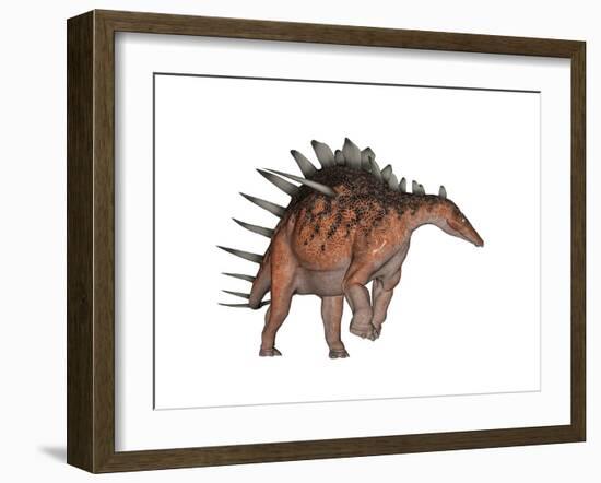 Kentrosaurus Dinosaur, White Background-null-Framed Art Print