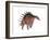 Kentrosaurus Dinosaur, White Background-null-Framed Art Print