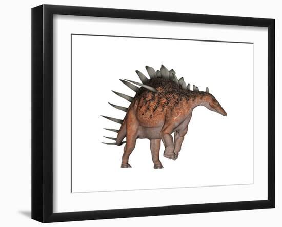 Kentrosaurus Dinosaur, White Background-null-Framed Art Print