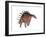 Kentrosaurus Dinosaur, White Background-null-Framed Art Print