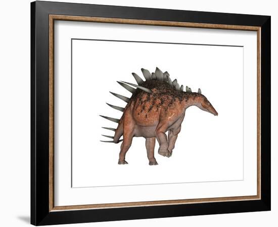 Kentrosaurus Dinosaur, White Background-null-Framed Art Print