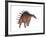 Kentrosaurus Dinosaur, White Background-null-Framed Art Print