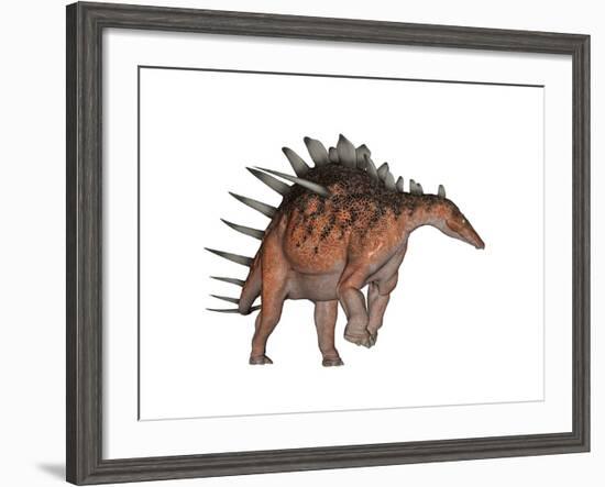 Kentrosaurus Dinosaur, White Background-null-Framed Art Print