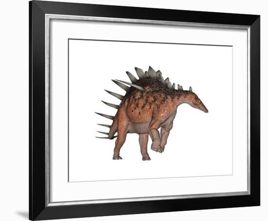 Kentrosaurus Dinosaur, White Background-null-Framed Art Print