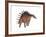 Kentrosaurus Dinosaur, White Background-null-Framed Art Print