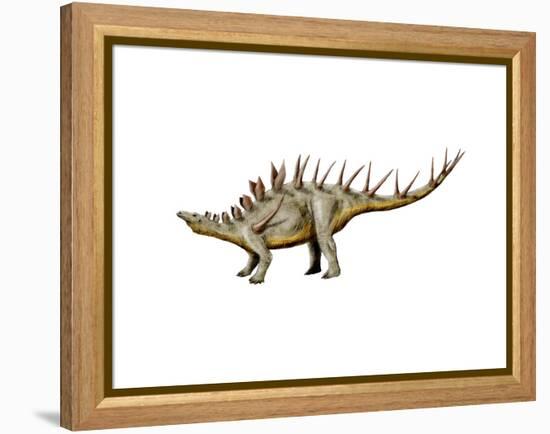 Kentrosaurus Dinosaur-null-Framed Stretched Canvas