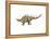 Kentrosaurus Dinosaur-null-Framed Stretched Canvas