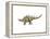 Kentrosaurus Dinosaur-null-Framed Stretched Canvas