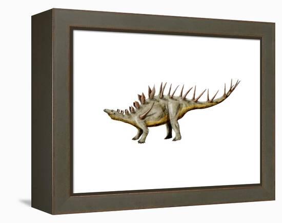 Kentrosaurus Dinosaur-null-Framed Stretched Canvas