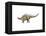 Kentrosaurus Dinosaur-null-Framed Stretched Canvas