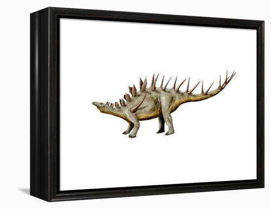 Kentrosaurus Dinosaur-null-Framed Stretched Canvas