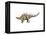 Kentrosaurus Dinosaur-null-Framed Stretched Canvas