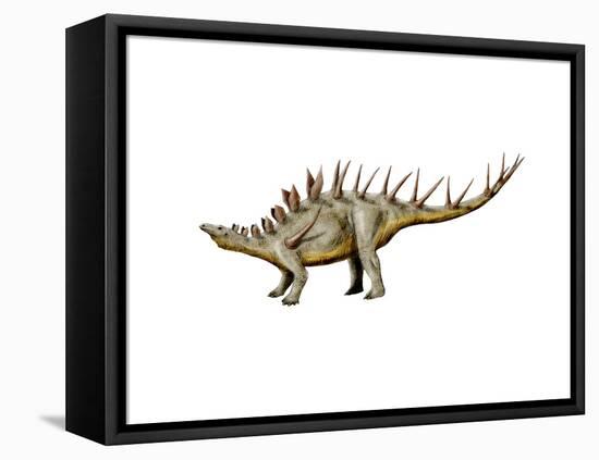 Kentrosaurus Dinosaur-null-Framed Stretched Canvas