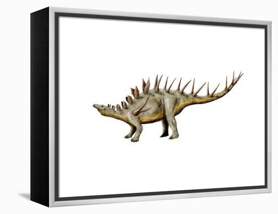 Kentrosaurus Dinosaur-null-Framed Stretched Canvas