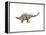 Kentrosaurus Dinosaur-null-Framed Stretched Canvas