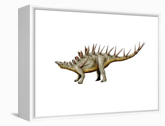 Kentrosaurus Dinosaur-null-Framed Stretched Canvas