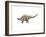 Kentrosaurus Dinosaur-null-Framed Art Print