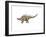 Kentrosaurus Dinosaur-null-Framed Art Print