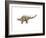 Kentrosaurus Dinosaur-null-Framed Art Print