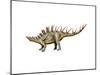 Kentrosaurus Dinosaur-null-Mounted Art Print