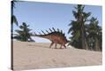 Stretched Canvas Print