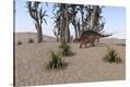 Stretched Canvas Print