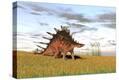 Stretched Canvas Print