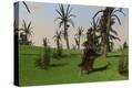 Stretched Canvas Print
