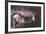 Kents Cavern-Charles Woof-Framed Photographic Print