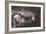 Kents Cavern-Charles Woof-Framed Photographic Print