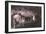 Kents Cavern-Charles Woof-Framed Photographic Print