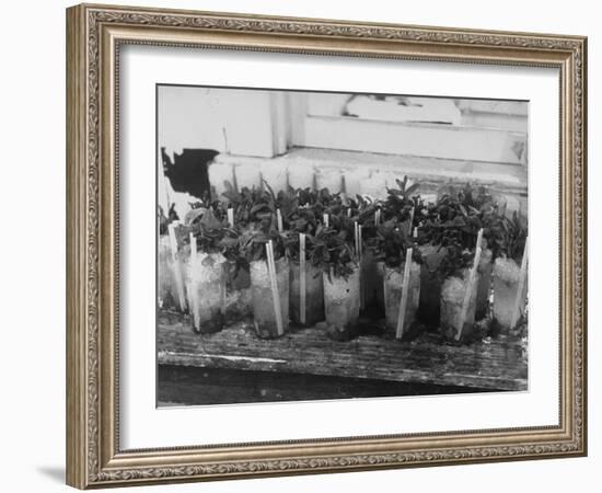 Kentucky Derby-null-Framed Photographic Print