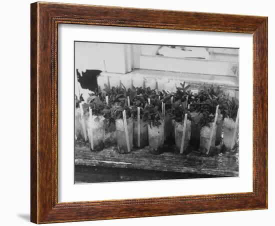 Kentucky Derby-null-Framed Photographic Print