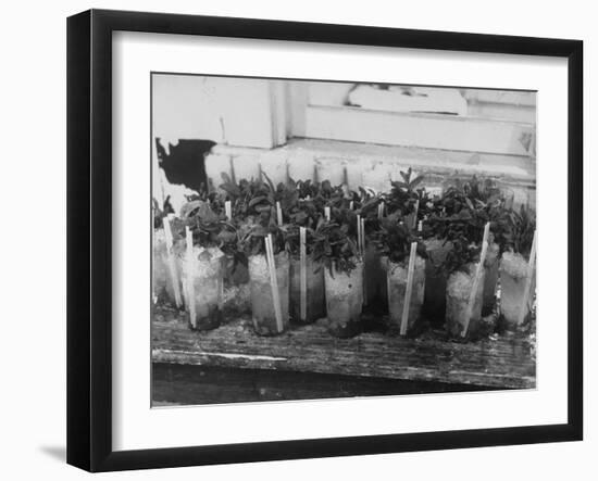 Kentucky Derby-null-Framed Photographic Print