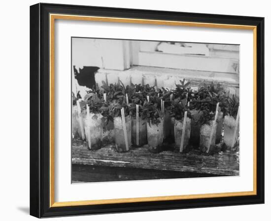 Kentucky Derby-null-Framed Photographic Print