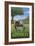 Kentucky - Horse in Field-Lantern Press-Framed Art Print