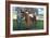 Kentucky - Kentucky Derby Winner Citation in 1948-Lantern Press-Framed Art Print