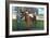 Kentucky - Kentucky Derby Winner Citation in 1948-Lantern Press-Framed Art Print