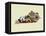 Kentucky State Map-Lanre Adefioye-Framed Premier Image Canvas