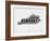 Kentucky Word Cloud 2-NaxArt-Framed Art Print