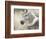 Kentucky-Tyson Estes-Framed Giclee Print