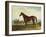 Kentucky-Edward Troye-Framed Giclee Print